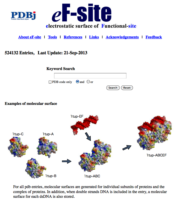 eF-site a database for molecular surfaces of proteins' functional sites